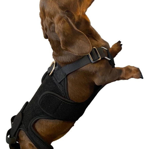 #78 Labra Canine Back Brace - NWT - Picture 3 of 6